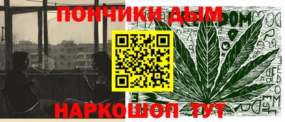 кокс Гатчина