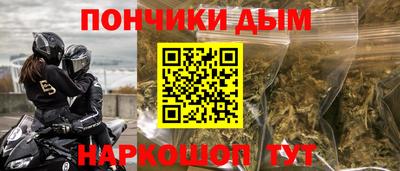 кокс Гатчина