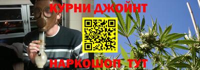 кокс Гатчина