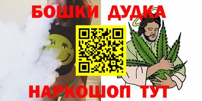 кокс Гатчина