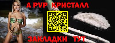 кокс Гатчина