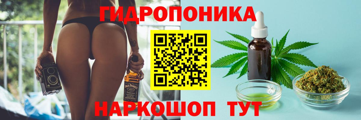 Оренбург  Бошки марихуана SATIVA & INDICA  Каннабис Bruce Banner  Вход с VPN  Канабис VHQ  Каннабис OG Kush 